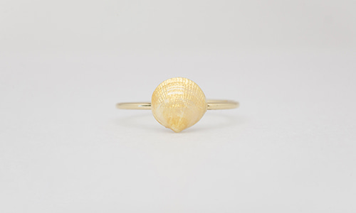 Gold shell ring
