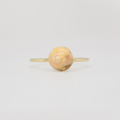 Red brown storm clam ring